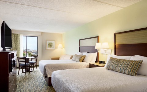 Junior Suite with Queen Sleeper Sofa